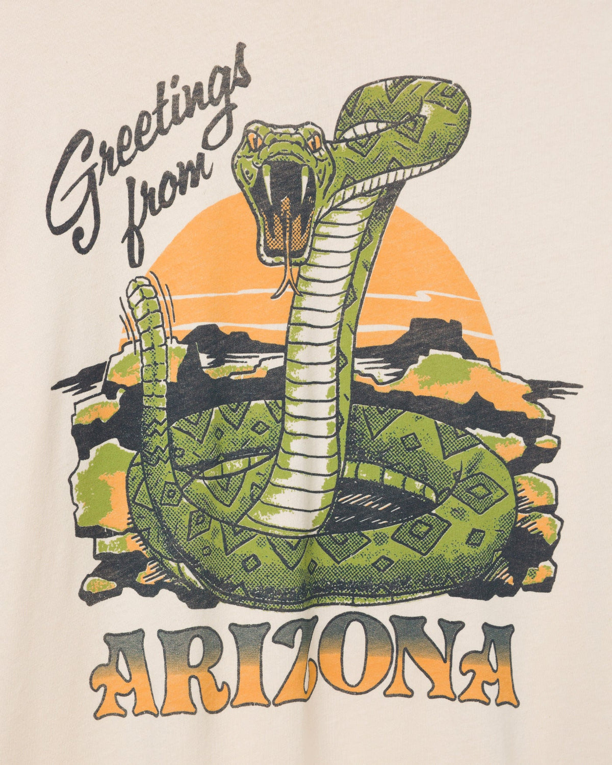 Greetings From Arizona Vintage Tee product image 4