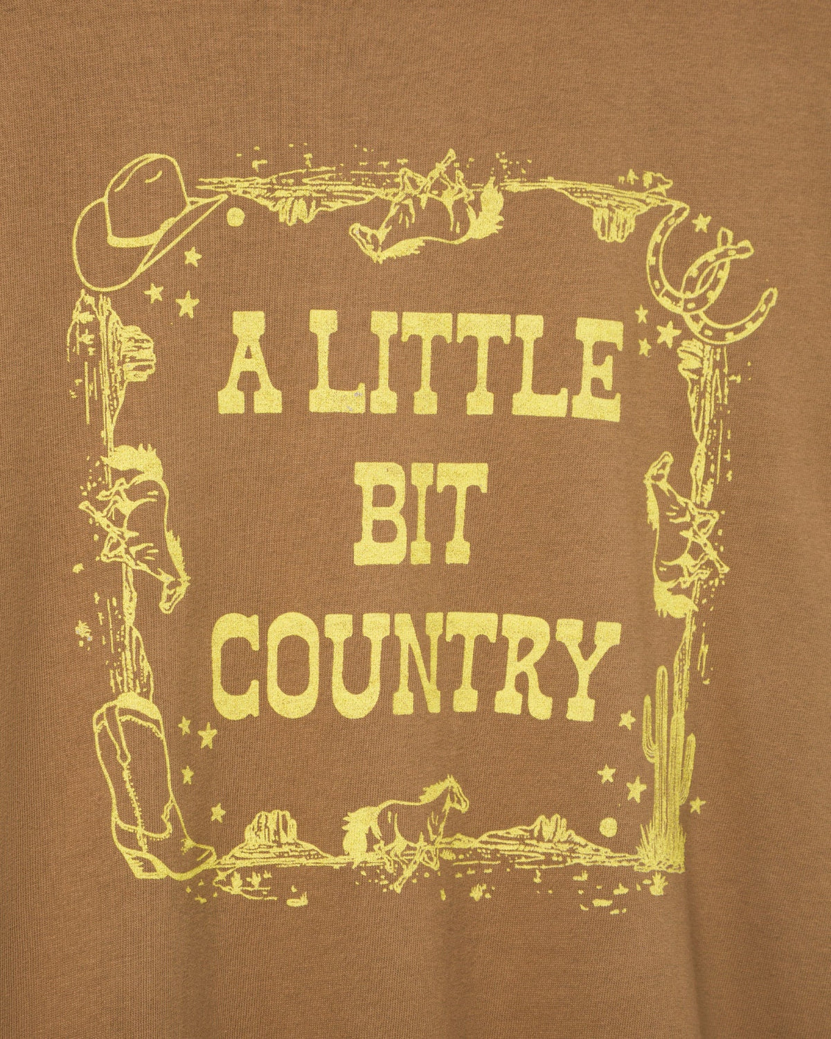 A Little Bit Country Vintage Tee product image 4