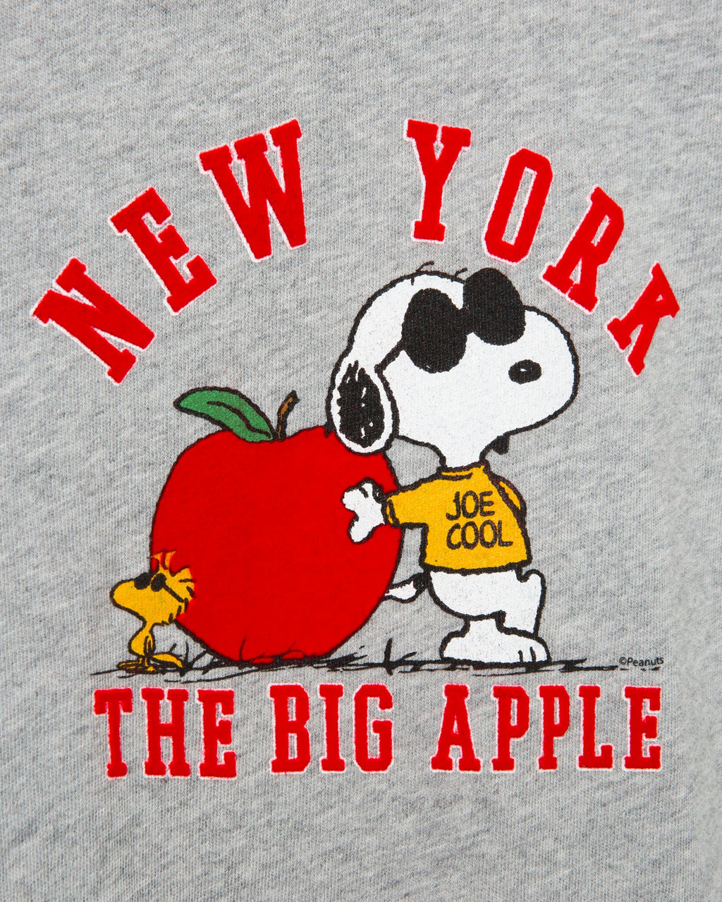 Kids Snoopy the Big Apple Tee product image 3